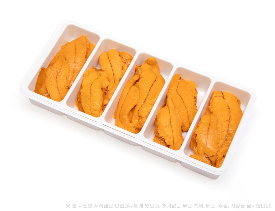 사선에서 본 오션페루 우니 5칸 트레이