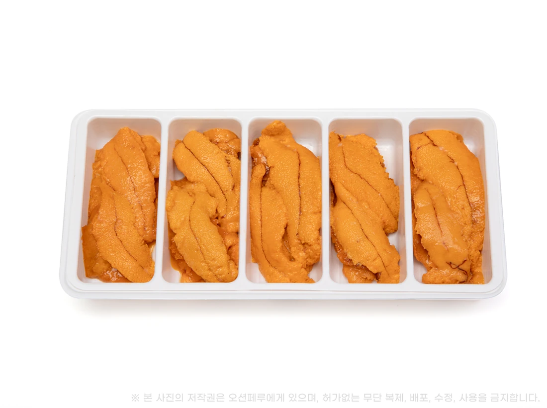 정면에서 본 우니 20g 5칸 트레이